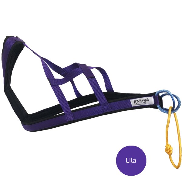 Lila (aktuell nicht in S,3XL verfügbar)